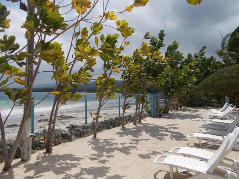 Villa Ocho Rios Under The Palms Exterior foto