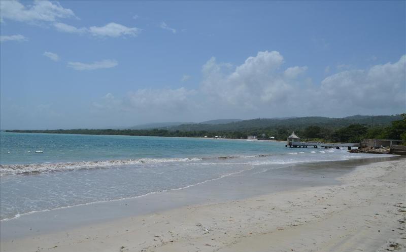 Villa Ocho Rios Under The Palms Exterior foto